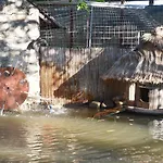 La Casa Di Pilar Cotignola