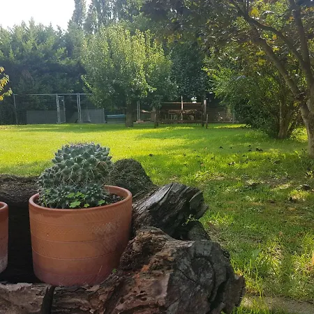 La Casa Di Pilar 3*