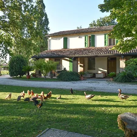 La Casa Di Pilar Cotignola