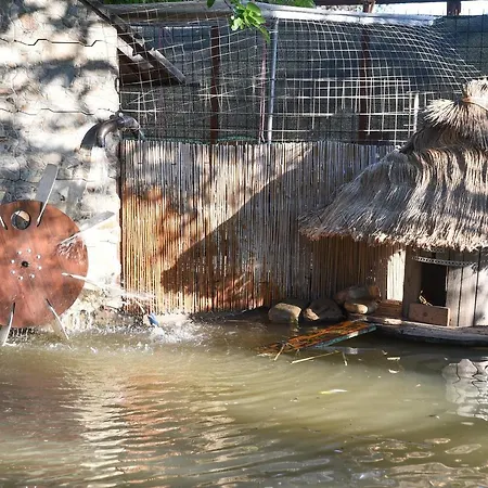 La Casa Di Pilar Котиньола