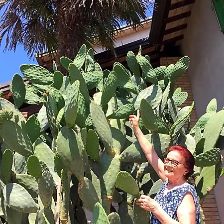 La Casa Di Pilar 3*
