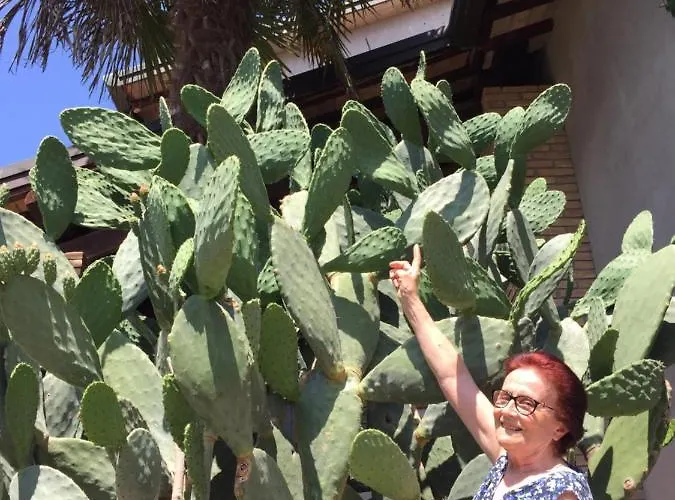 La Casa Di Pilar Cotignola